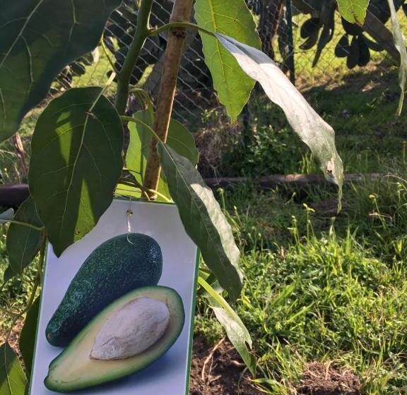 פנסיון The Lighthouse Room