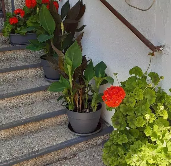 Appartement Ferienwohnung Lang