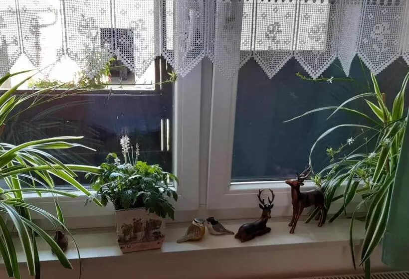 Appartement Ferienwohnung Lang