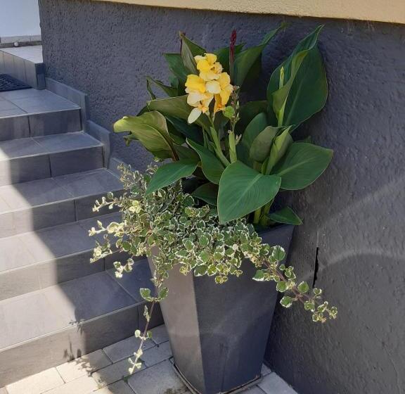 Appartement Ferienwohnung Lang