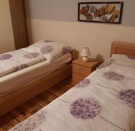 Appartement Ferienwohnung Lang