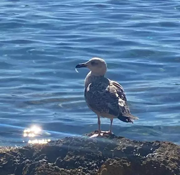Argentario… Tutto Da Scoprire
