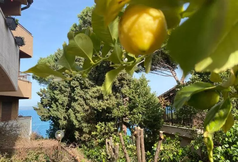 Argentario… Tutto Da Scoprire