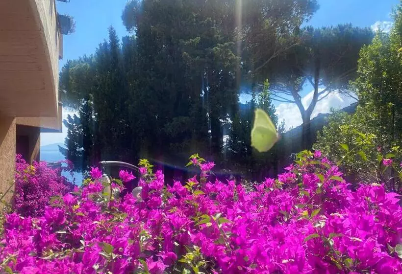 Argentario… Tutto Da Scoprire