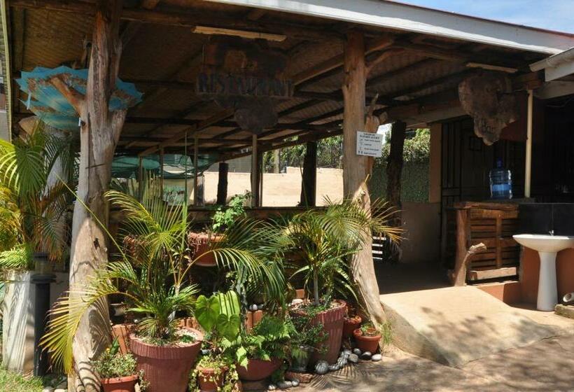 تختخواب و صبحانه Dream Jet Suites