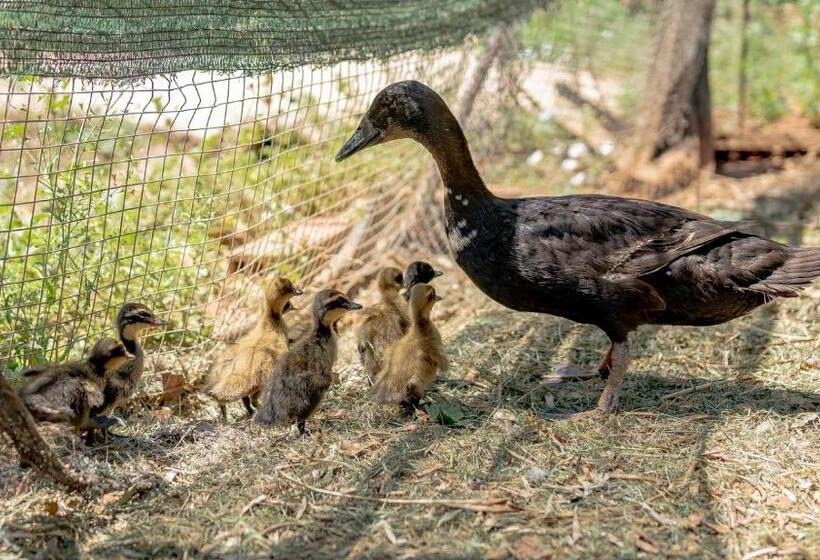 Huerta Del Chacho Ronda By Ruralidays