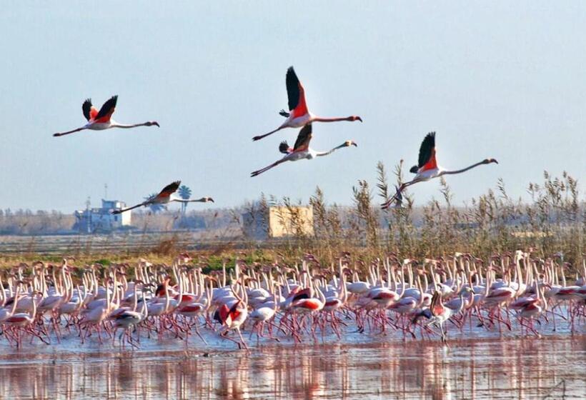 Town Center Apartment El Perello Valencia