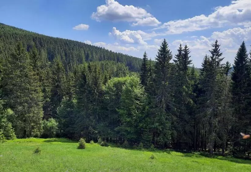 Velký Apartmán Cihlarka