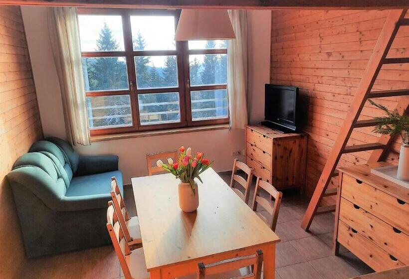 Velký Apartmán Cihlarka