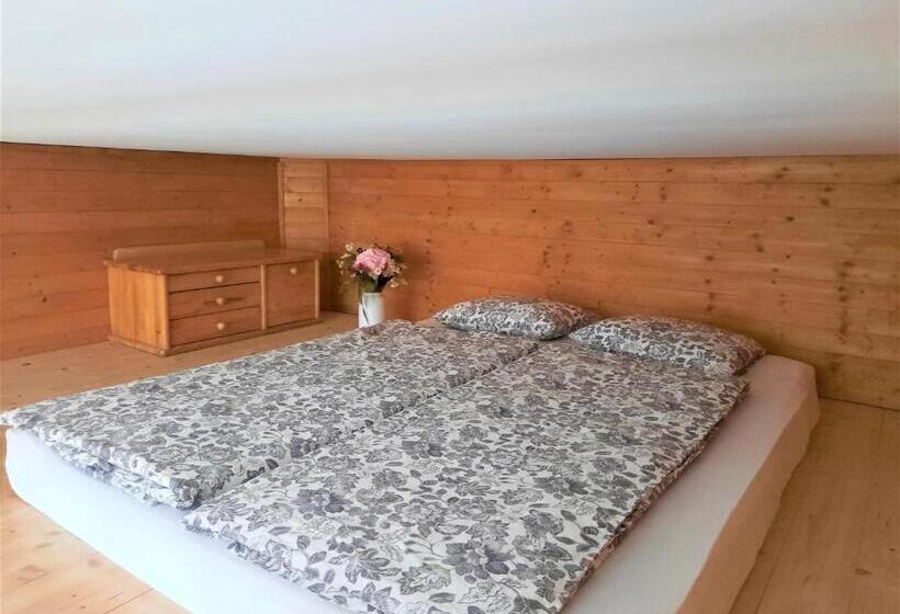 Velký Apartmán Cihlarka