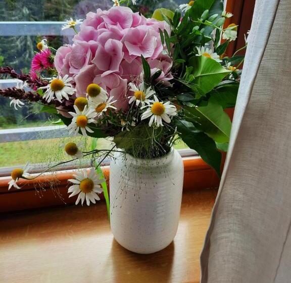 Velký Apartmán Cihlarka