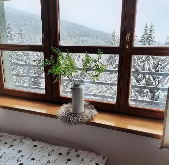 Velký Apartmán Cihlarka