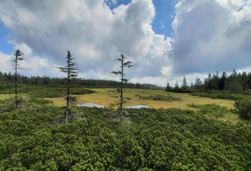 Velký Apartmán Cihlarka