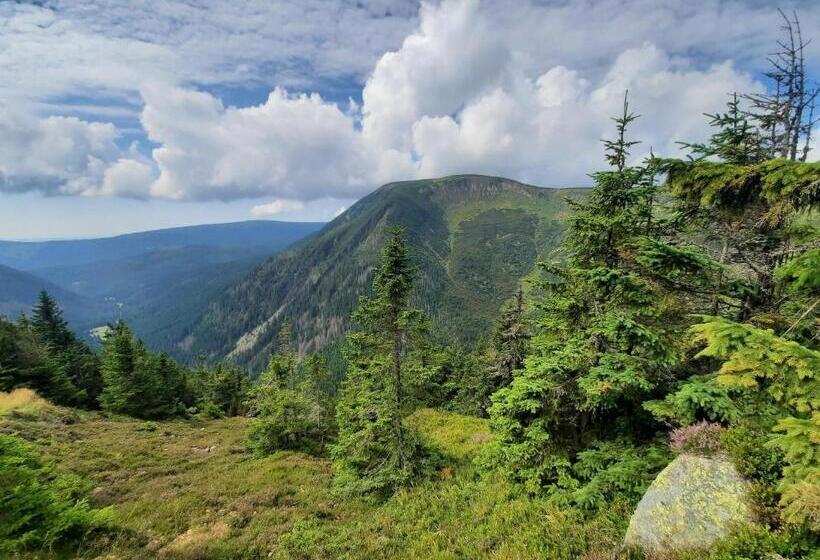 Velký Apartmán Cihlarka