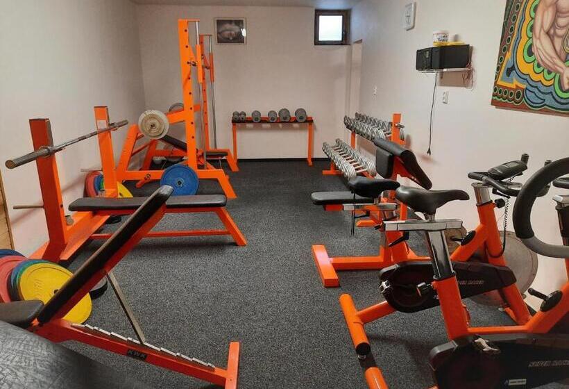 Velký Apartmán Cihlarka