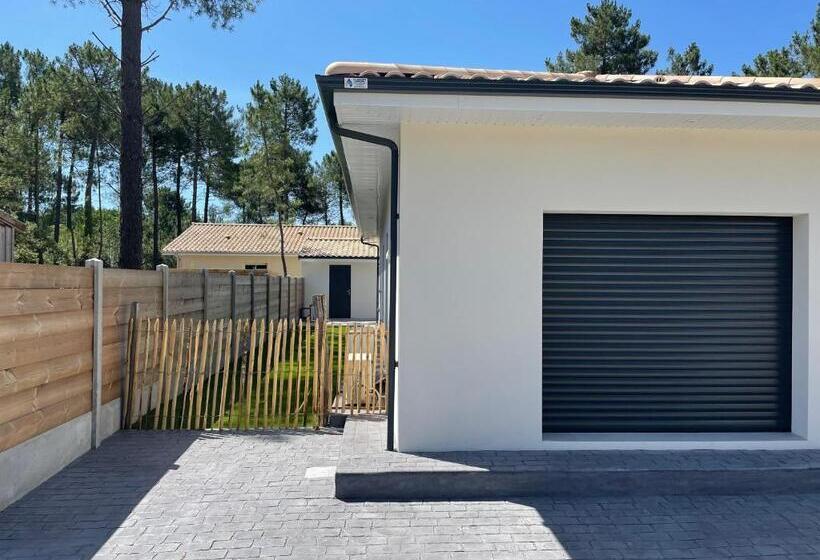 Maison Moderne Avec Piscine Chauffée