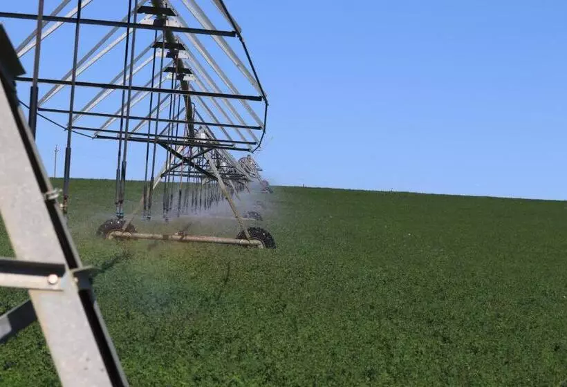 Blou Porselein Guestfarm