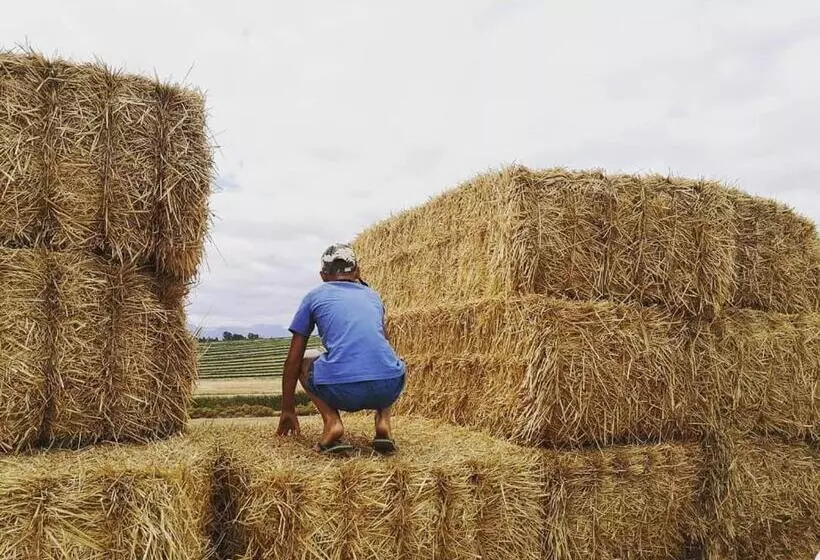 Blou Porselein Guestfarm