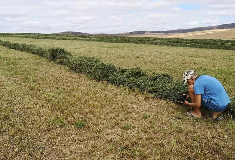 Blou Porselein Guestfarm