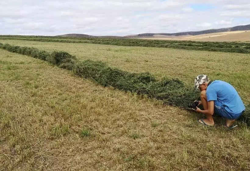 Blou Porselein Guestfarm