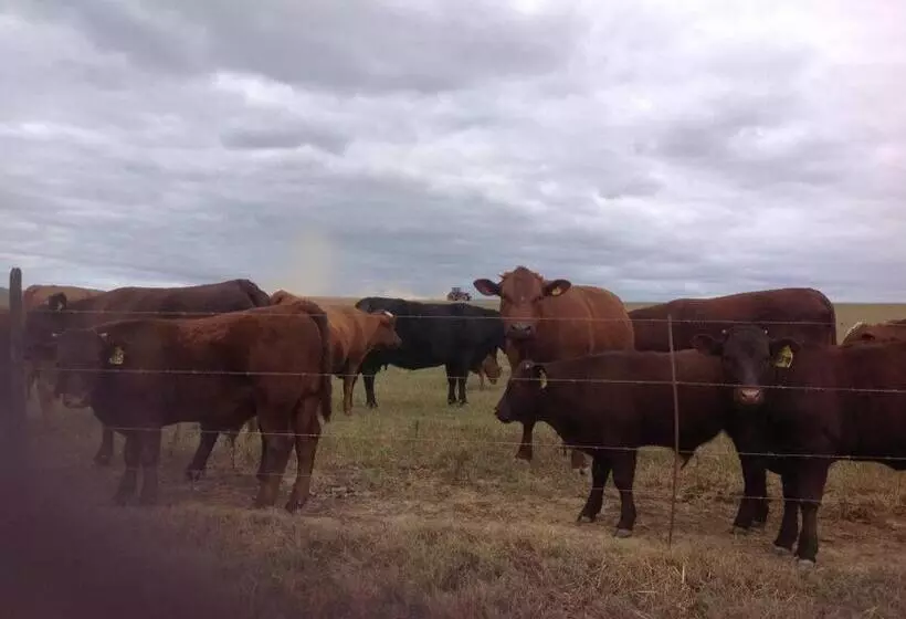 Blou Porselein Guestfarm