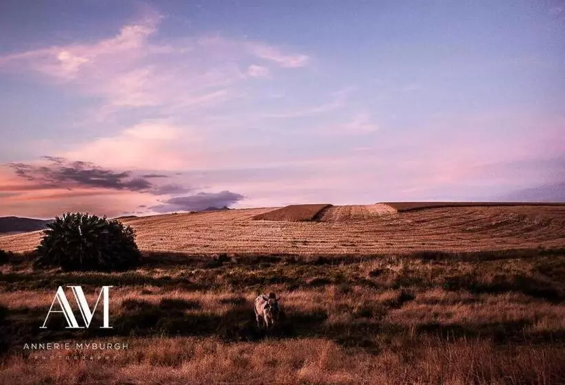 Blou Porselein Guestfarm