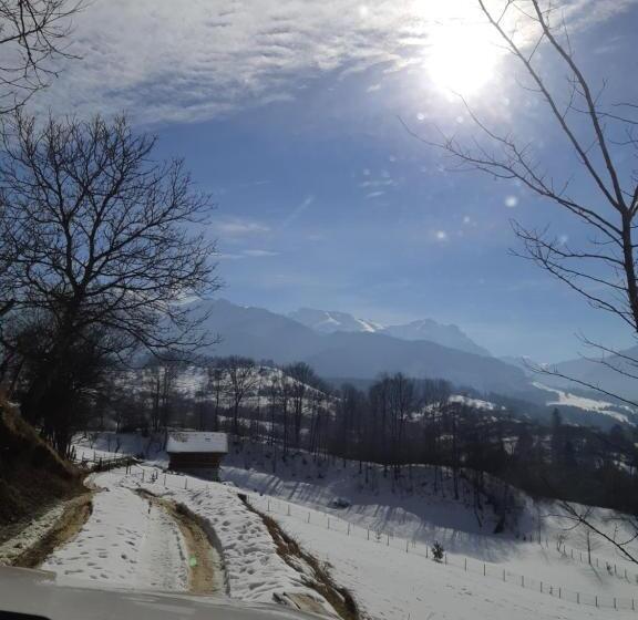 Cabana Adierea Vantului Bran