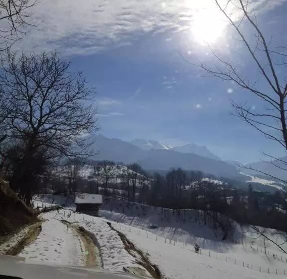 Cabana Adierea Vantului Bran