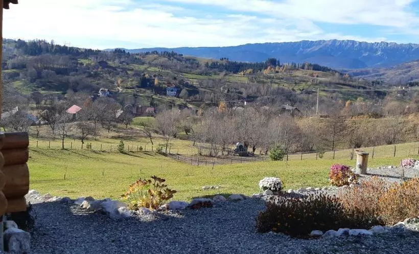 Cabana Adierea Vantului Bran