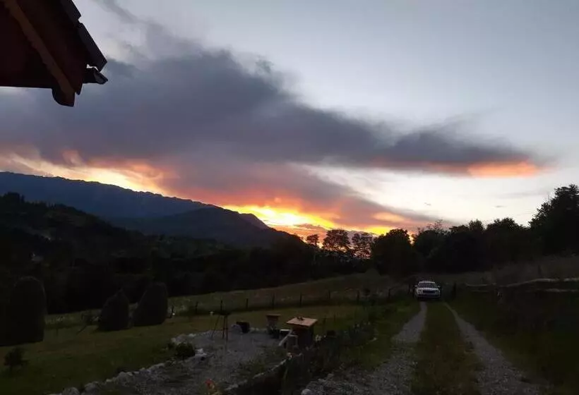 Cabana Adierea Vantului Bran