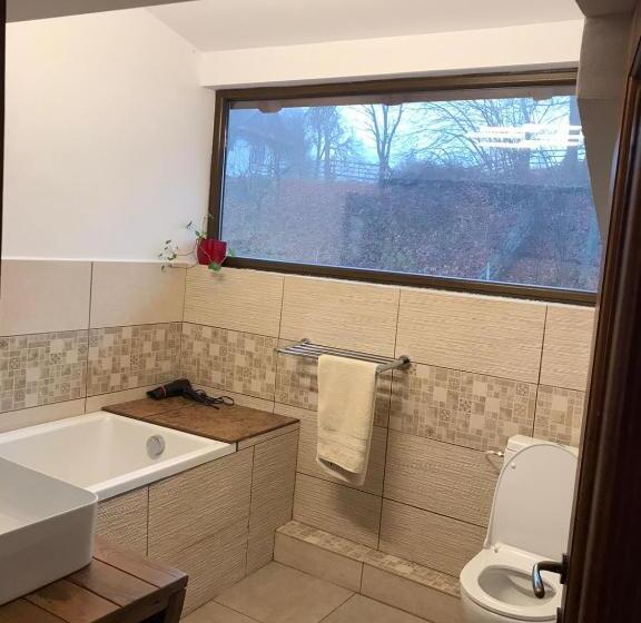 Cabana Adierea Vantului Bran