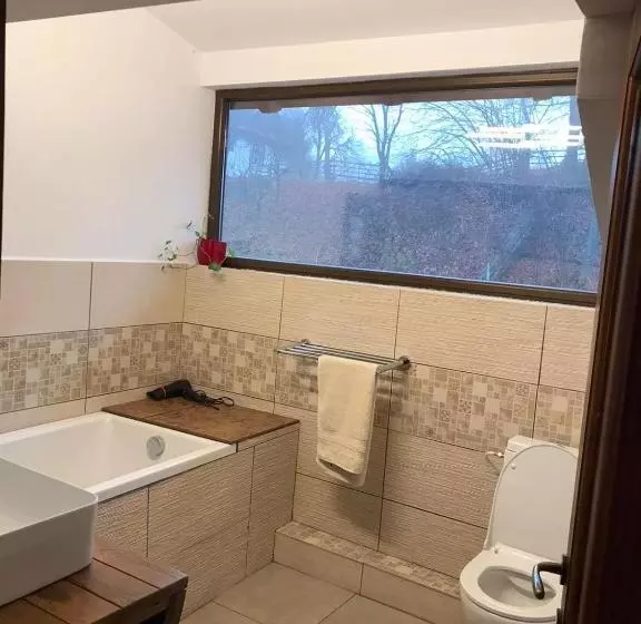 Cabana Adierea Vantului Bran