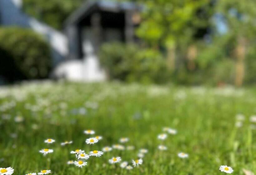 Ferienwohnung Blick Ins Grüne