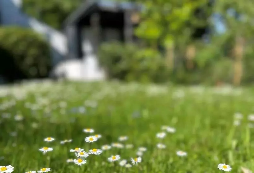 Ferienwohnung Blick Ins Grüne