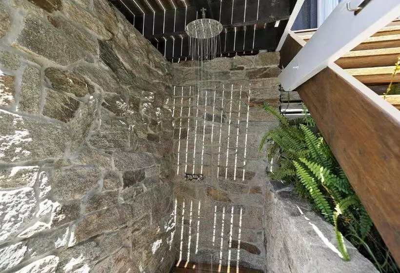 Fern House