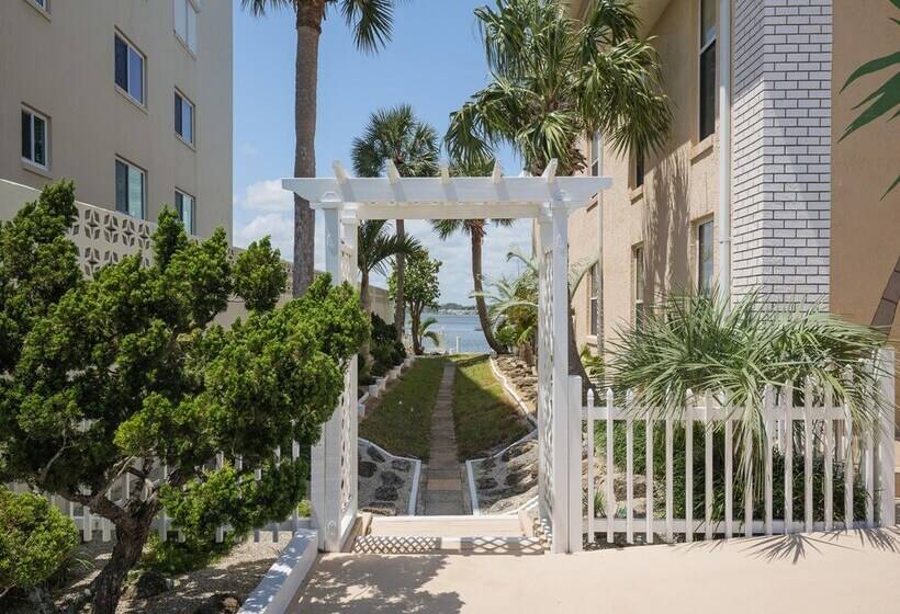 Intercoastal Dreams 201