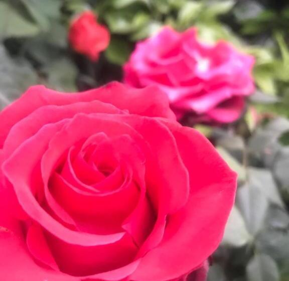 La Casona 6ta Sección Residencial, Ciudad De Mendoza