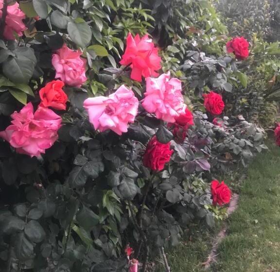 La Casona 6ta Sección Residencial, Ciudad De Mendoza