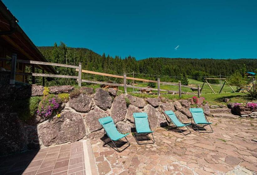 פנסיון Moie  Camere