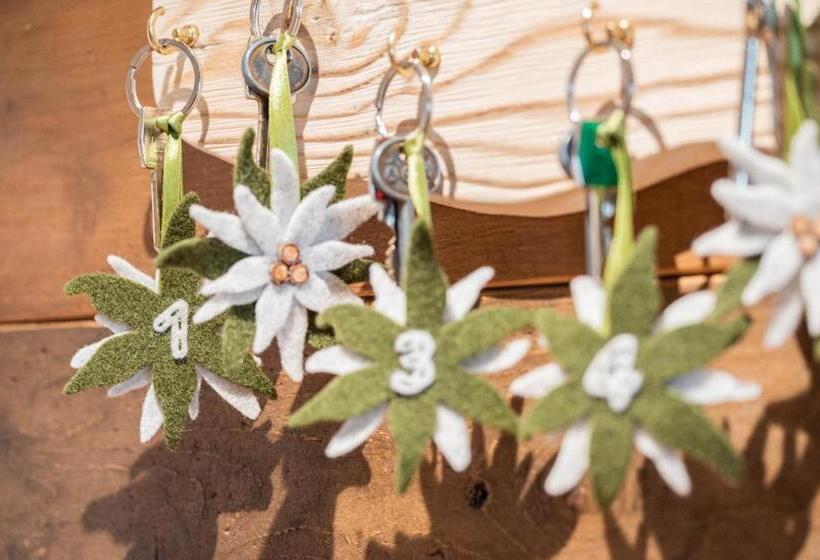 פנסיון Moie  Camere