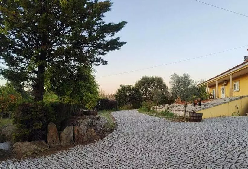 Quinta Da Libelinha Alojamento Local   Mirandela