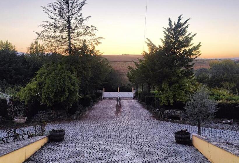 Quinta Da Libelinha Alojamento Local   Mirandela