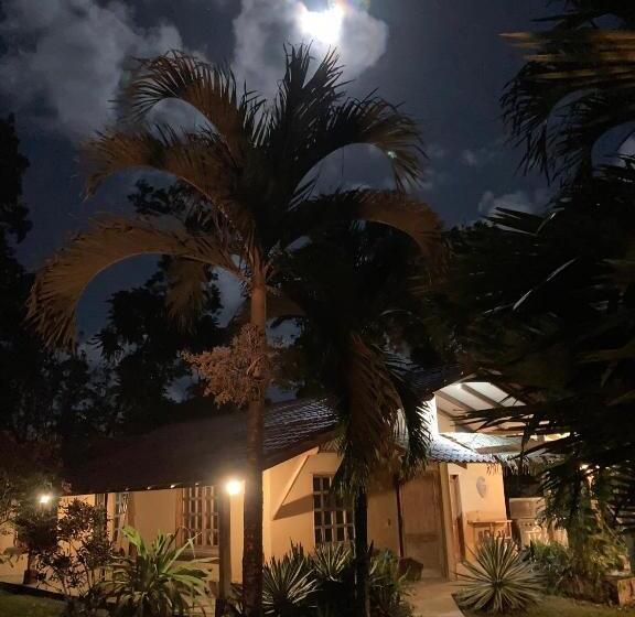 אתר נופש Pura Vida Vegana