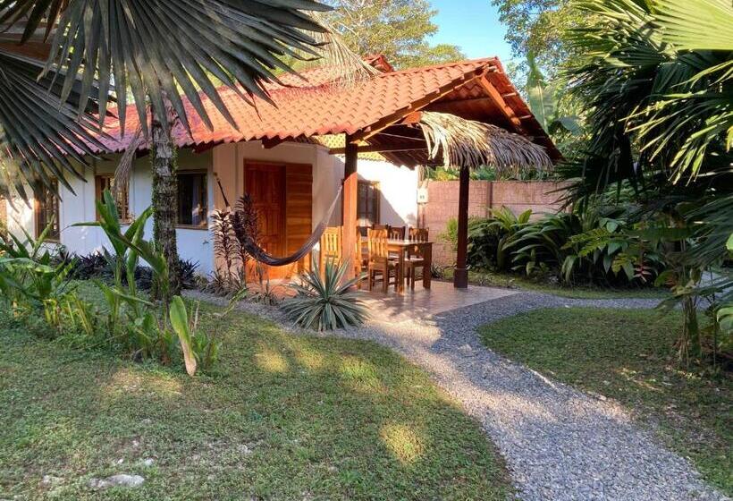 אתר נופש Pura Vida Vegana