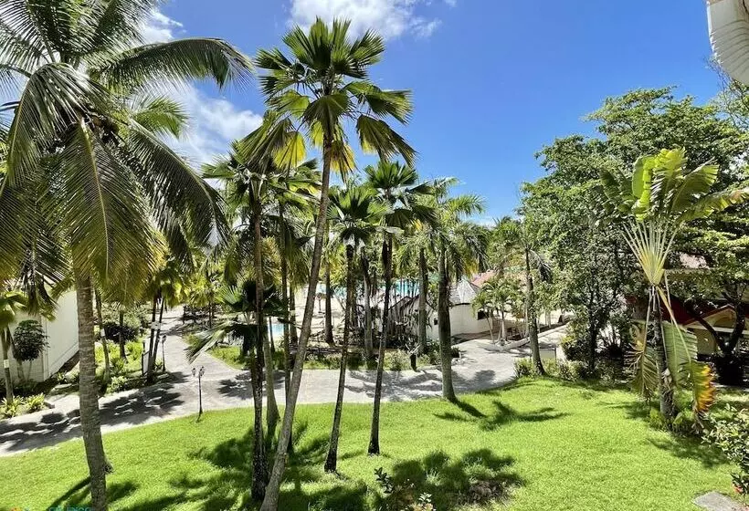 Studios Barbadine   Resorts Flats