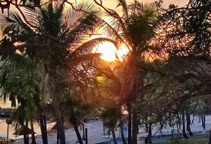 Studios Barbadine Resorts Flats