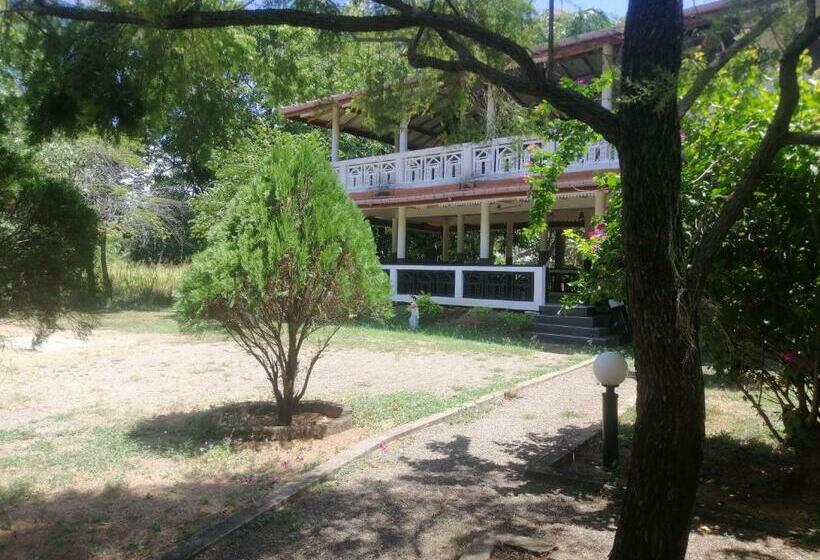 Nocleg ze śniadaniem Jungle Nature Villa