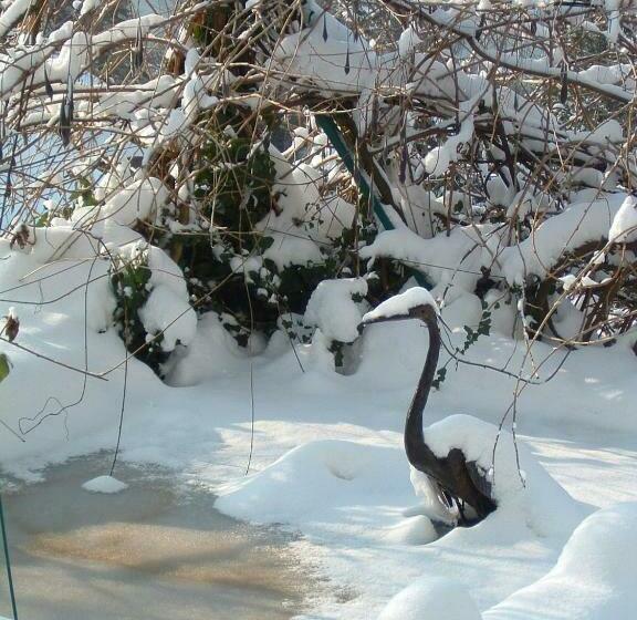 Bed and Breakfast Les Terrasses Du Lac Au Bord Du Lac D Annecy