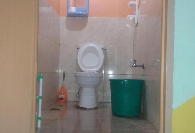 Aamiaismajoitus (B&B) Moalboal Bamboo House / Rooms