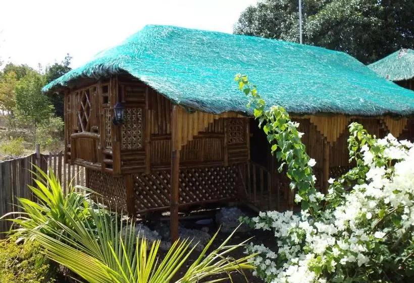 تختخواب و صبحانه Moalboal Bamboo House / Rooms